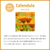WELEDA Bio Baby Calendula Pflegecreme Körper & Gesicht 30ml – Naturkosmetik Gesichtscreme / Hautcreme mit Sesamöl & Lanolin zur Pflege trockener Haut. Babypflege Feuchtigkeitscreme für Babys & Kinder(50 ml (1er Pack))