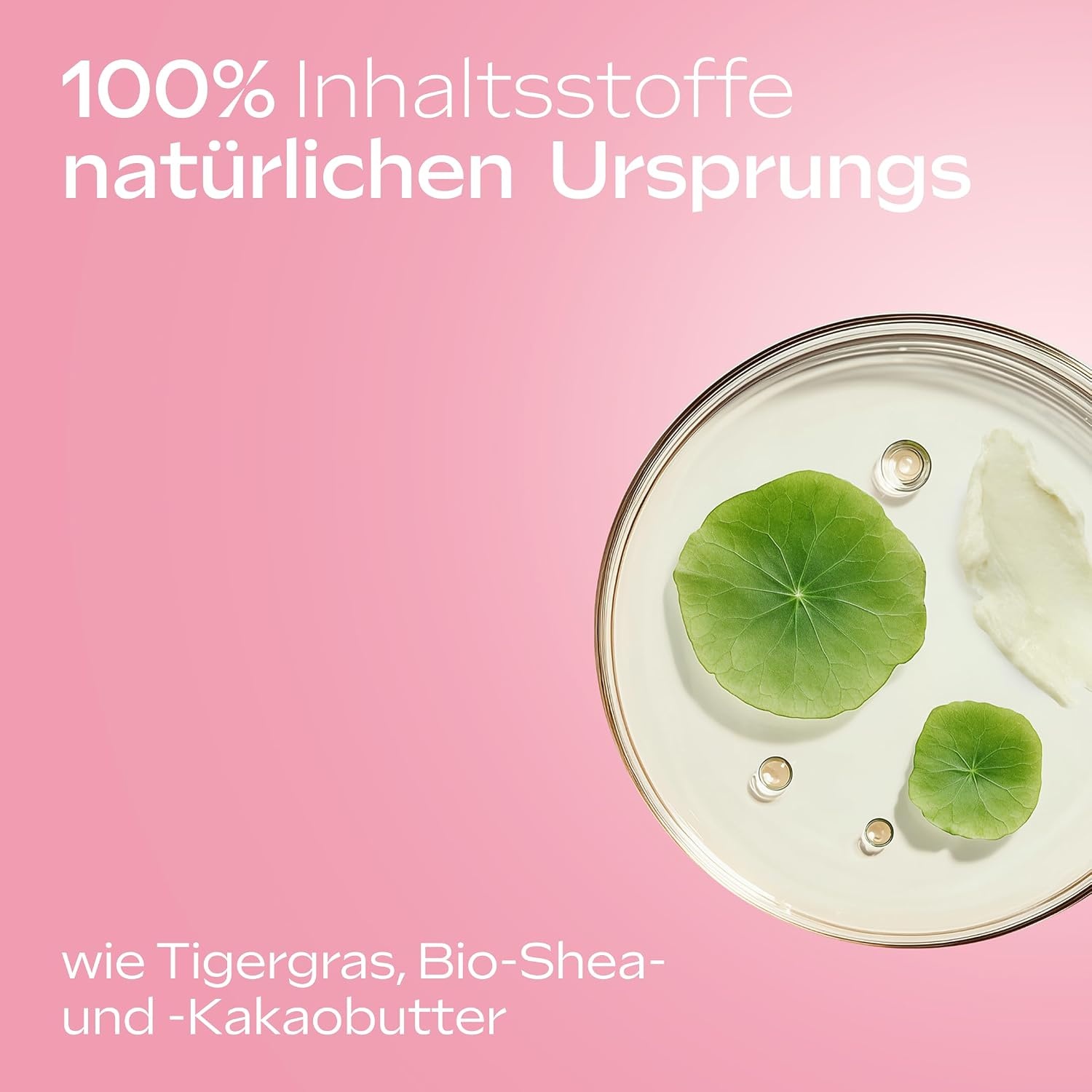 image:imageWELEDA Schwangerschaft Body Butter 150ml Dehnungsstreifen vegan BioBlumig dezent Rose Neroli Myrrhe